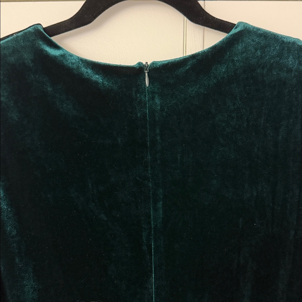 Melonie T Velvet Dress, Size 16P - Picture 6 of 7